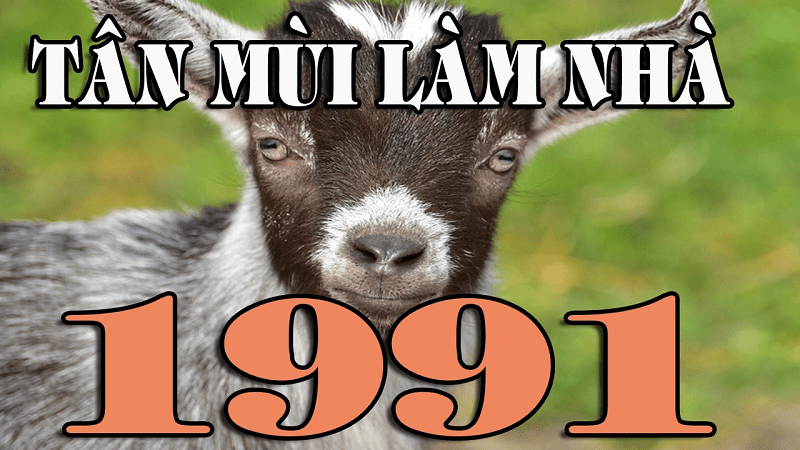 tuoi-tan-mui-hop-huong-nao-de-kinh-doanh